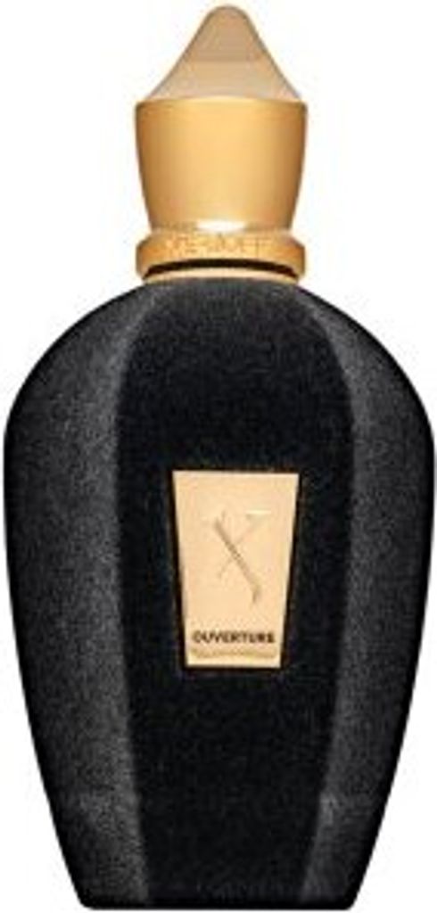 Xerjoff V Ouverture Edp Ml Unisex Kaufland Cz