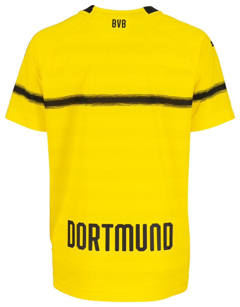 Puma Bvb Cup Replica Jr With Evonik Logo Kaufland De