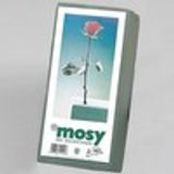 Esponjas para arreglos florales