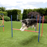 Hund springt über Hindernis