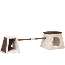 Cat Activity Balancierset