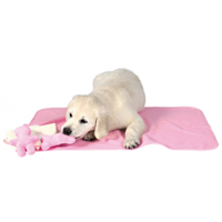 Hundwelpe mit Spielzeug