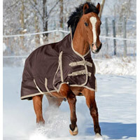 Pferdedecke Winter