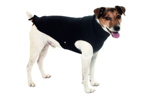 Hundepullover