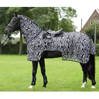 Nierendecke Pferd