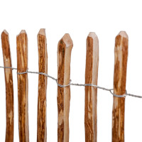 Staketenzaun