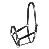 Stallhalfter aus Leder