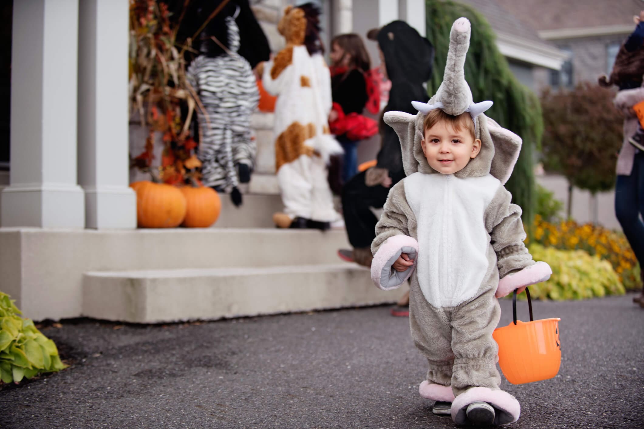 Halloween Ideen: Schaurig-schöne Kostüme, Rezepte und Deko entdecken  Kaufland.de