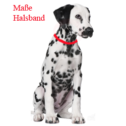Maße Halsband Hund