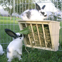 Kaninchen käfig größe - Die hochwertigsten Kaninchen käfig größe im Vergleich!