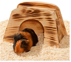 Indoor Nagerhaus aus Holz mit Meerschweinchen