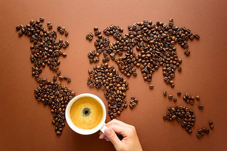 Die große Kaffee Infowelt