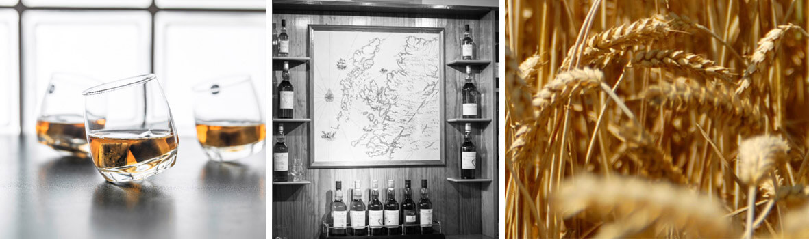 Glenfiddich Whisky