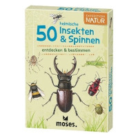 50 Insekten & Spinnen entdecken & bestimmen
