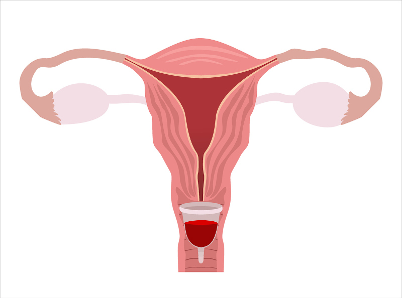 Menstruationstasse Sitz