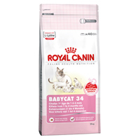 Saszetka karmy Royal Canin dla małych kotów