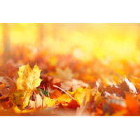 Herbst/Winter