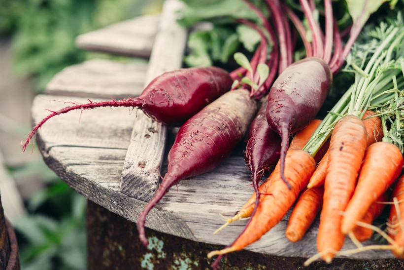 Rettiche und Karotten zählen ebenfalls zum Wintergemüse und schmecken auch roh in Scheiben geschnitten besonders gut.