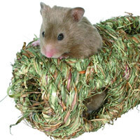 Artgerechte Haltung Hamsterkäfig