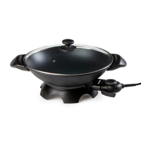 Elektrische Woks