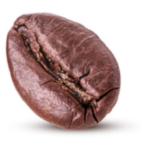 Robusta Bohne