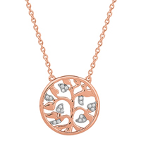 Xenox Kette