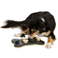 Hund spielt mit Snackspielzeug