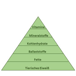 Ernährungstabelle Katzen