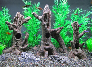 Aquarium Holz