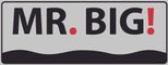 MR. BIG Logo