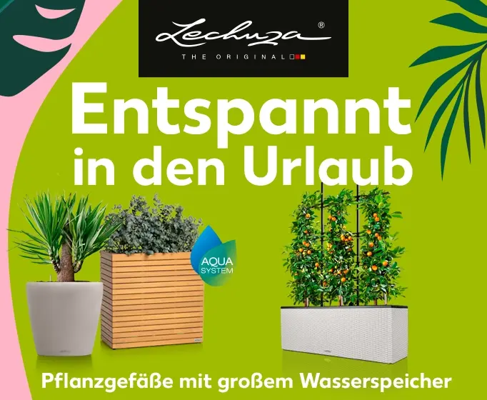Lechuza. Entspannt in den Urlaub. Pflanzgefäße mit extragroßem Wasserspeicher. Jetzt entdecken