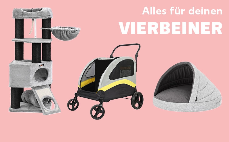 Jetzt entdecken