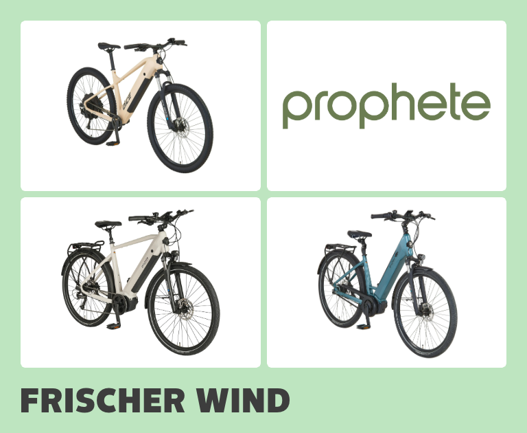 Frischer Wind - Prophete