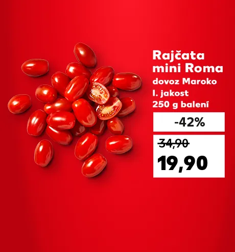 Akční nabídka