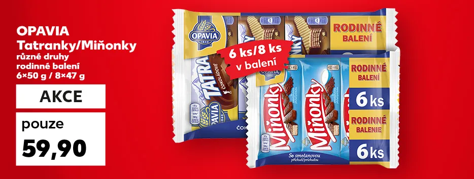 Akční nabídka