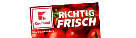 Kaufland Prospekt