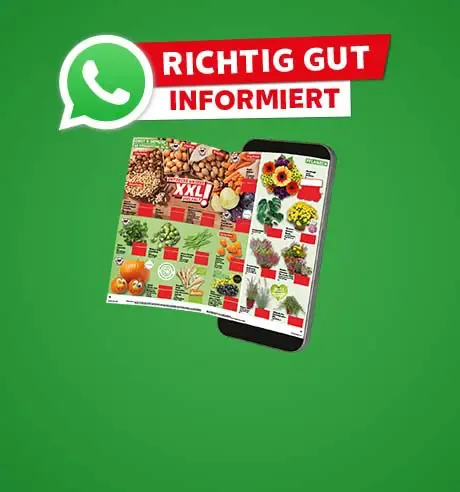 Kaufland Prospekt via WhatsApp
