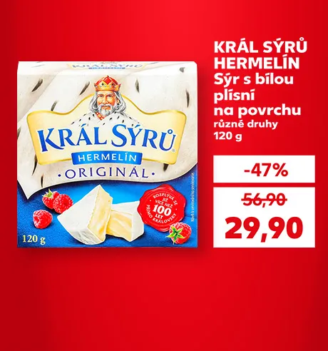 Král sýrů Hermelín sýr s bílou plísní na povrchu