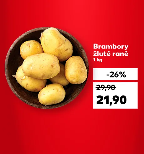 Akční nabídka