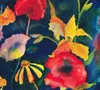 Adrianne Lenker - CD Canzoni e strumenti Anteprima dell’immagine prodotto 2