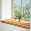 A wooden windowsill with two small potted plants in front of a window showing trees and sky. Podgląd zdjęcia produktu