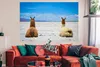 MuchoWow® Poster Lama - Tiere - Sand 180x120 cm - Produktbild-Vorschau 2