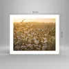 Poster - Poster ohne Rahmen - Baumwolle Feld Acker - 50x40 Produktbild-Vorschau 4