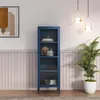 A navy blue display cabinet with glass doors is shown in a room with decorative items and a plant. Produktbild-Vorschau