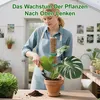 Monstera Rankhilfe 4 Stück 24 Zoll Moosstab Pflanzen Produktbild-Vorschau 5