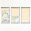 Three windows with roller blinds, showing different levels of coverage. Produktbild-Vorschau
