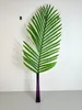 Deko-dadelpalmblad, 84 cm – Natuurgetrouw en flexibel Productafbeelding-voorbeeld 3
