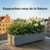 IvoQ Grande Jardinière en Bois - Jardinière de Luxe pour Voir les images du produit 2