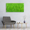 Glasbilder 120x60 Wandbild Druck auf Glas Gras Natur Produktbild-Vorschau 3