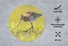 MuchoWow® Mauspad Mousepad Vögel - Gras - Landschaft - Produktbild-Vorschau 2